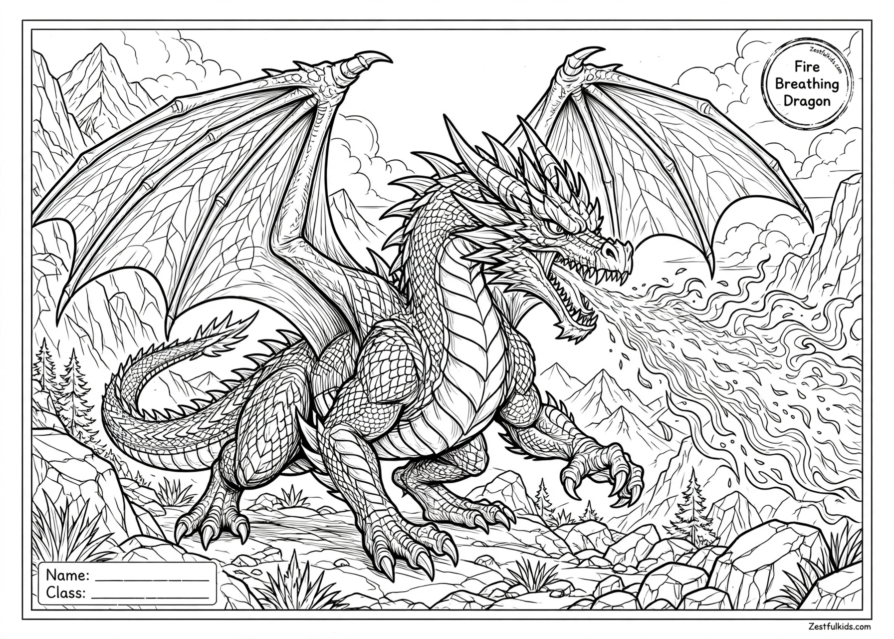 Detailed Dragon Coloring Pages for Older Kids